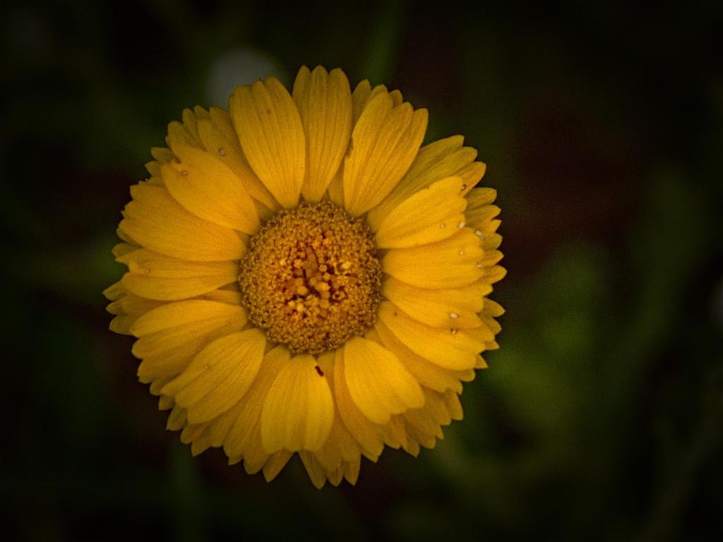 8-18-17-cr__7501736.jpg