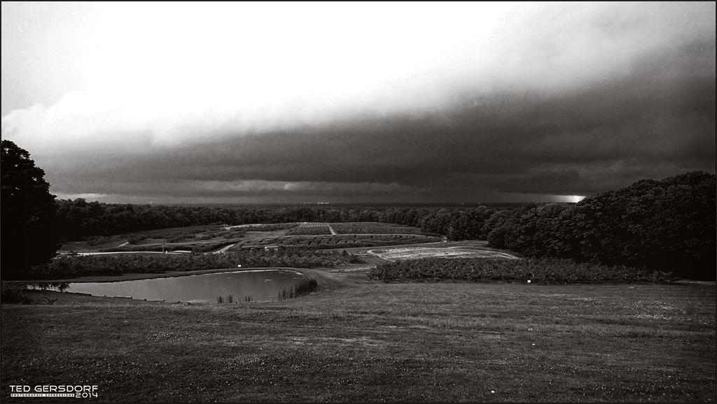 8-19 MS  3A BW RETRO.jpg
