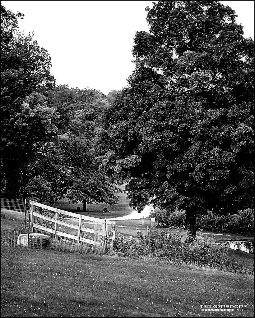 8-19 MS  5 BW copy.jpg