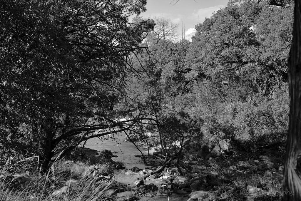 8-4-17-cr-bw__7501606.jpg