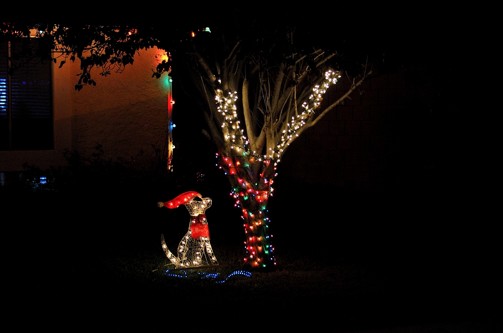 8 9 & 10th Dec 2014 010.JPG