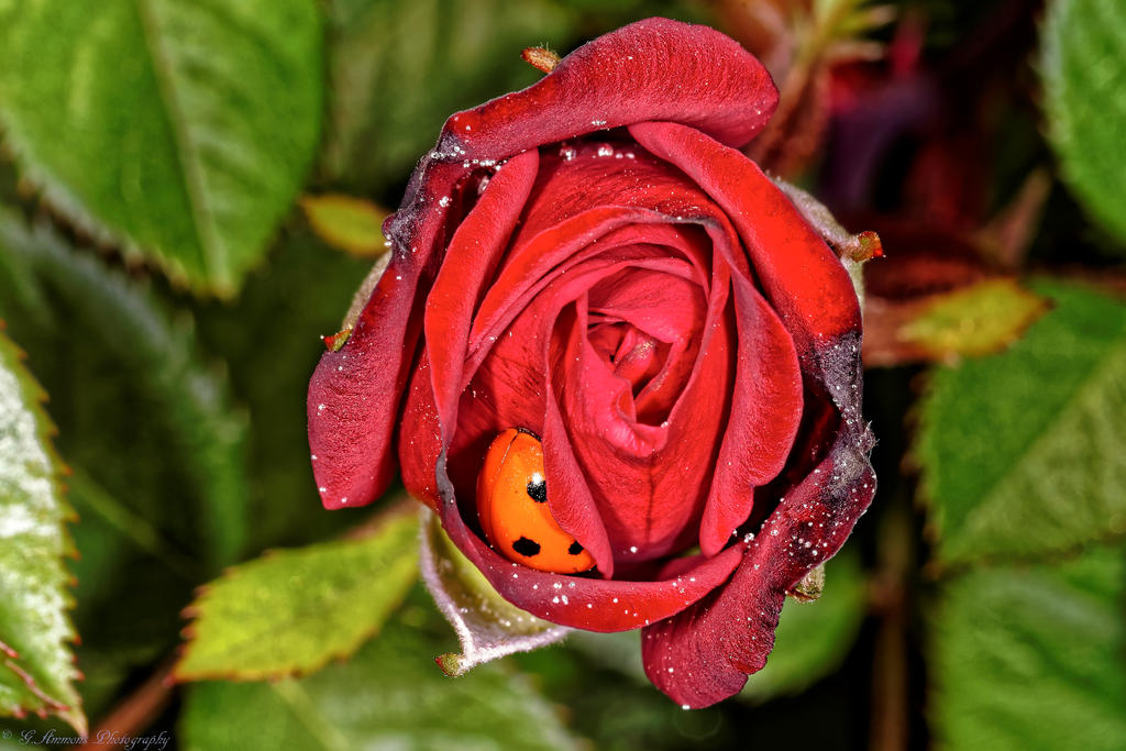 810_0277_DxO_DxO.jpg