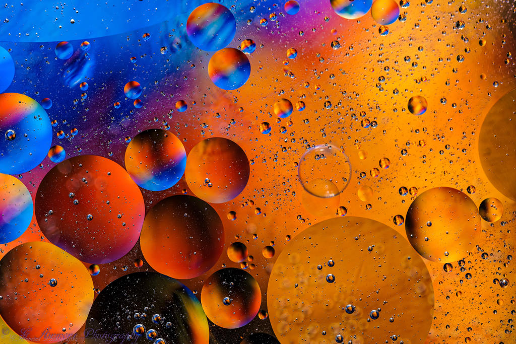Oil & Water