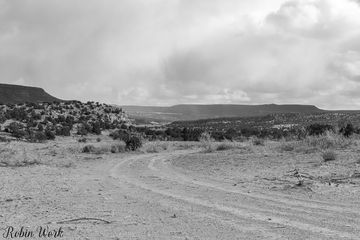 850_0022.jpg