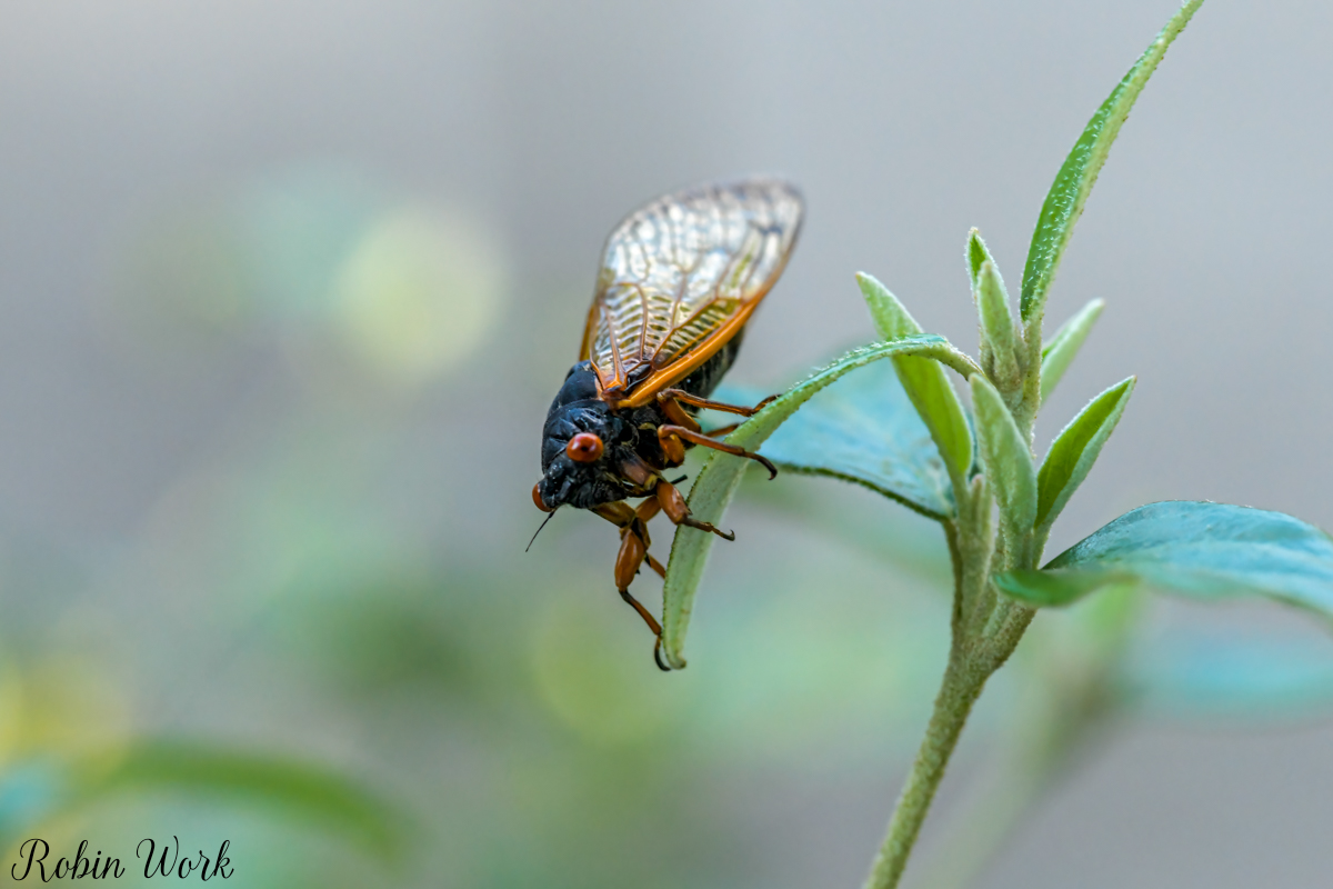 850_0033-Edit.jpg