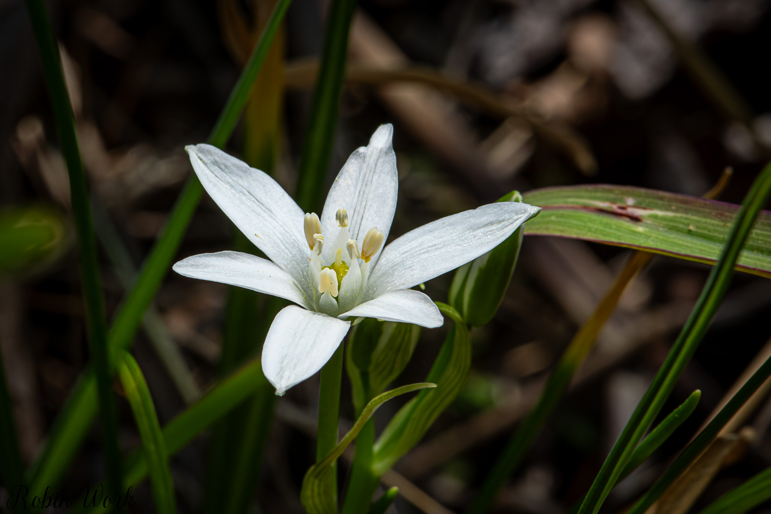 850_0042-Edit.jpg