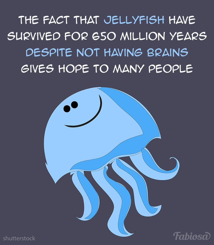 87606952_645781275991821_6973579093883224064_o.jpg