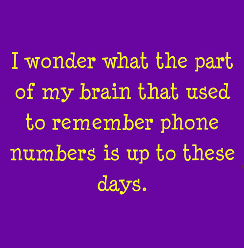 88434818_2319498015009299_3964542130340233216_n.jpg