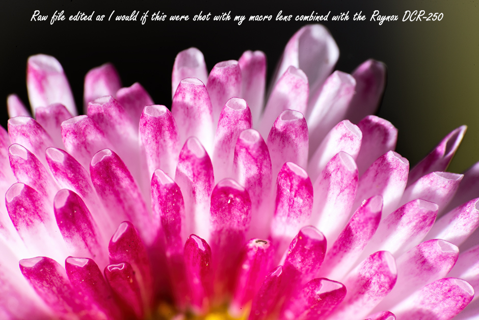 8_DSC_6487.jpg