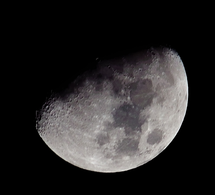 8th Feb 2014 049.JPG