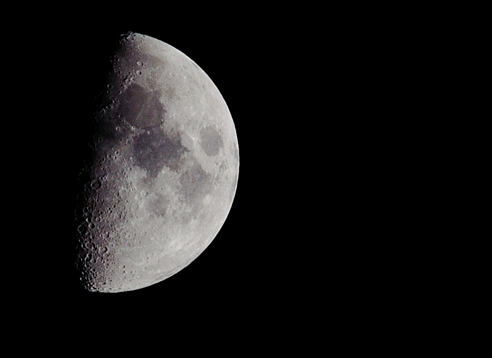 8th Jan 2014 012.JPG