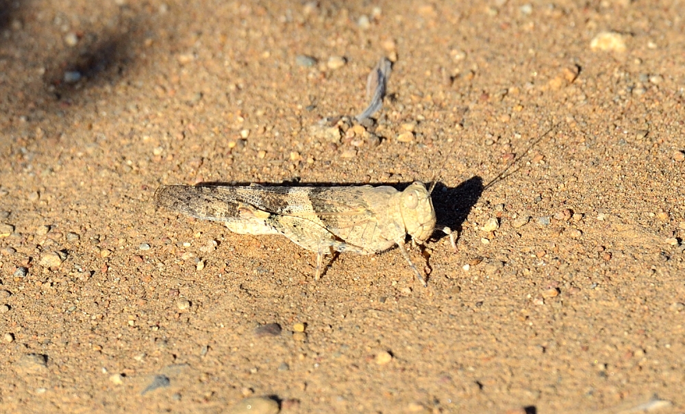 8th  July 2014 017.JPG