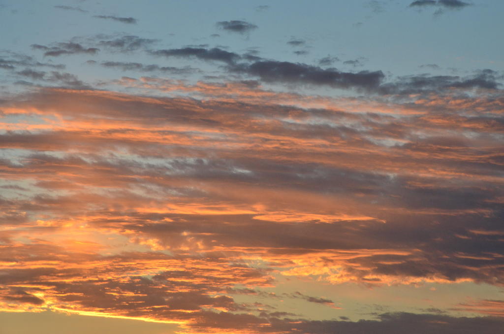 8th Sept 2013-2 034.jpg