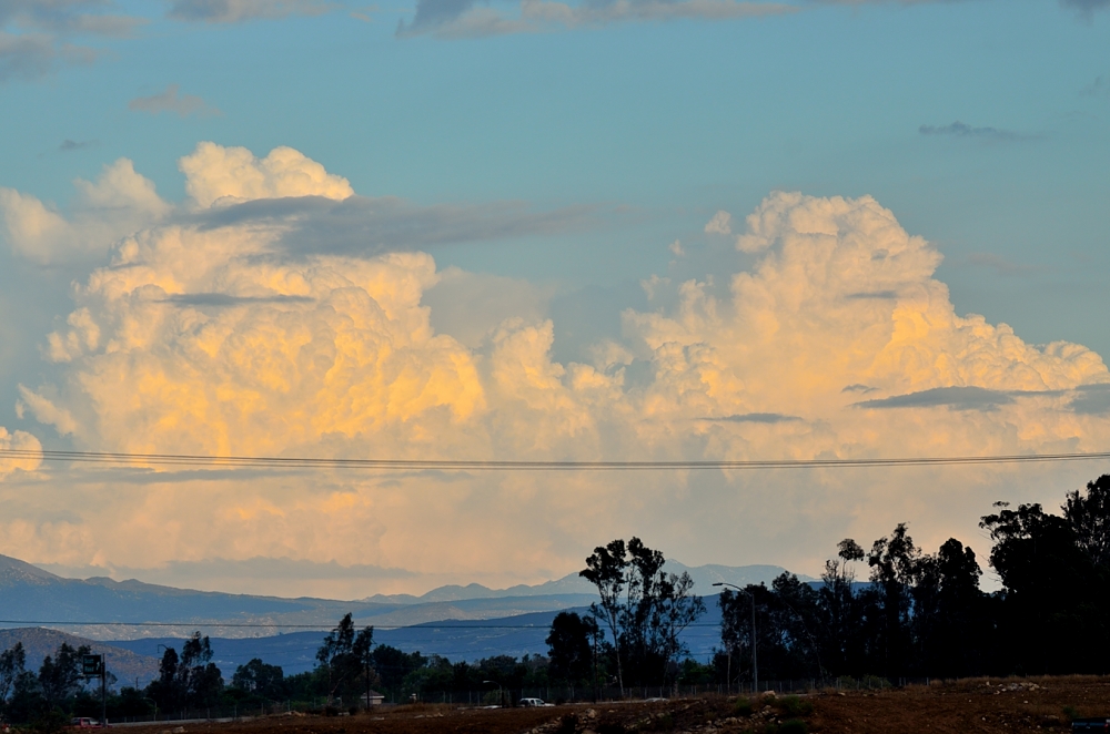 8th Sept 2014 023.JPG