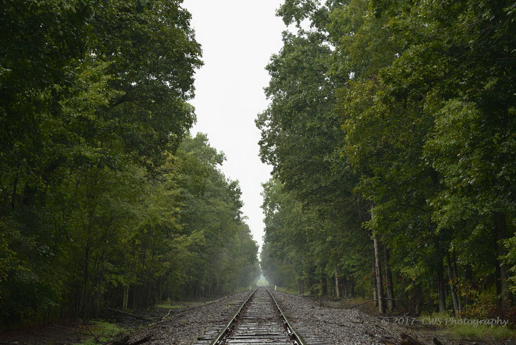 9-1-17-cr__7501809.jpg