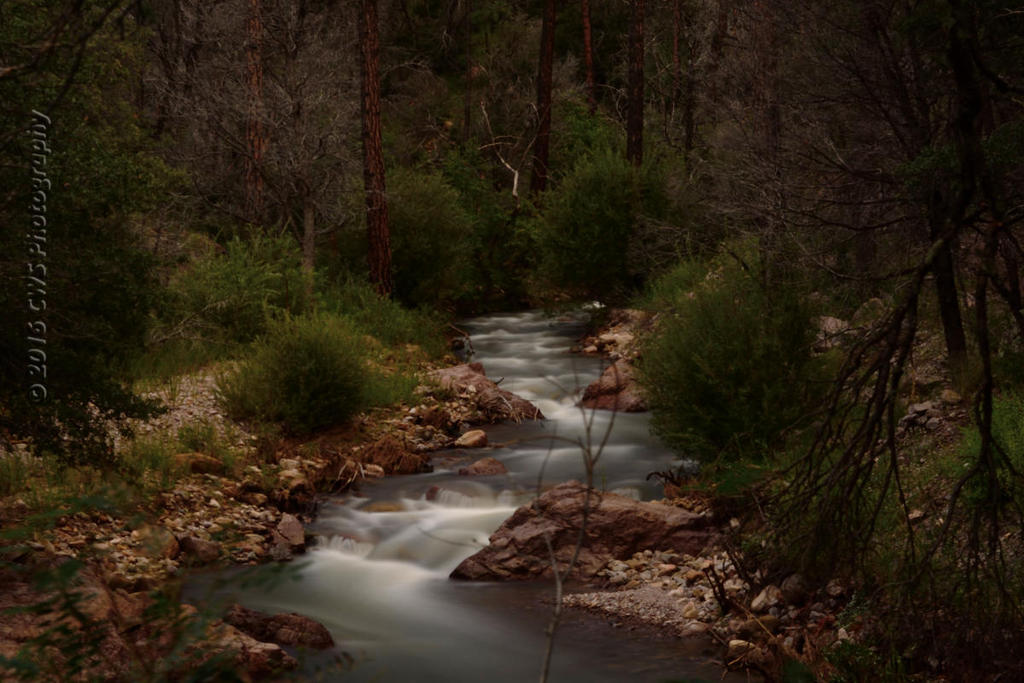 9-10-16-cr-ND10-TurkeyCreek__D7K4237.jpg