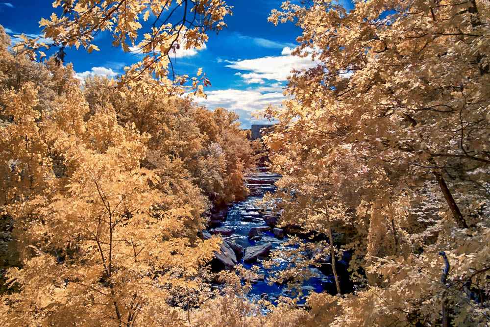 9-20-17 IR with LR  (1 of 1)-8_01.JPG