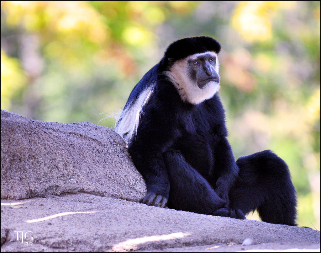 9-21-16 CLE Zoo   22sm.jpg