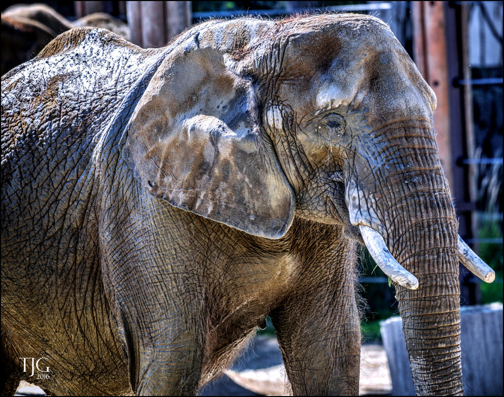 9-21-16 CLE Zoo   2sm.jpg