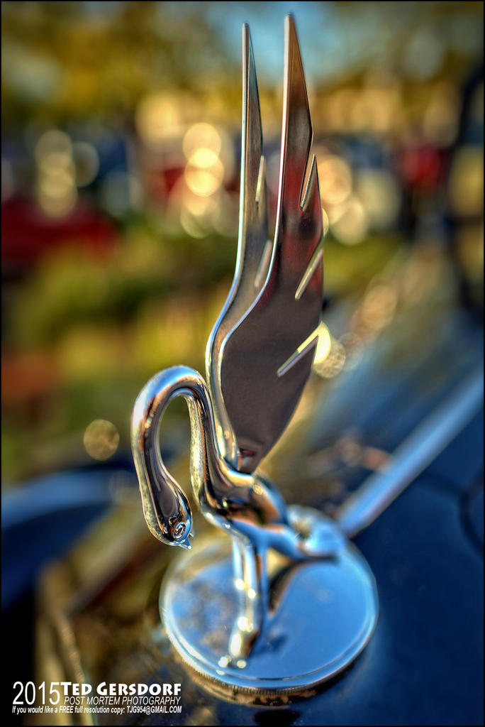 9-24-15 Grace Car Show   12.jpg