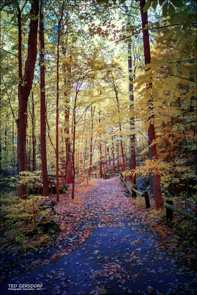9-28-17 Squires Castle  IR   (1 of 1)-9_01.JPG