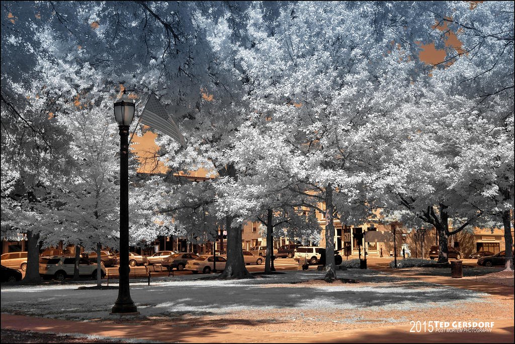 9-3-15 Medina IR   7.jpg