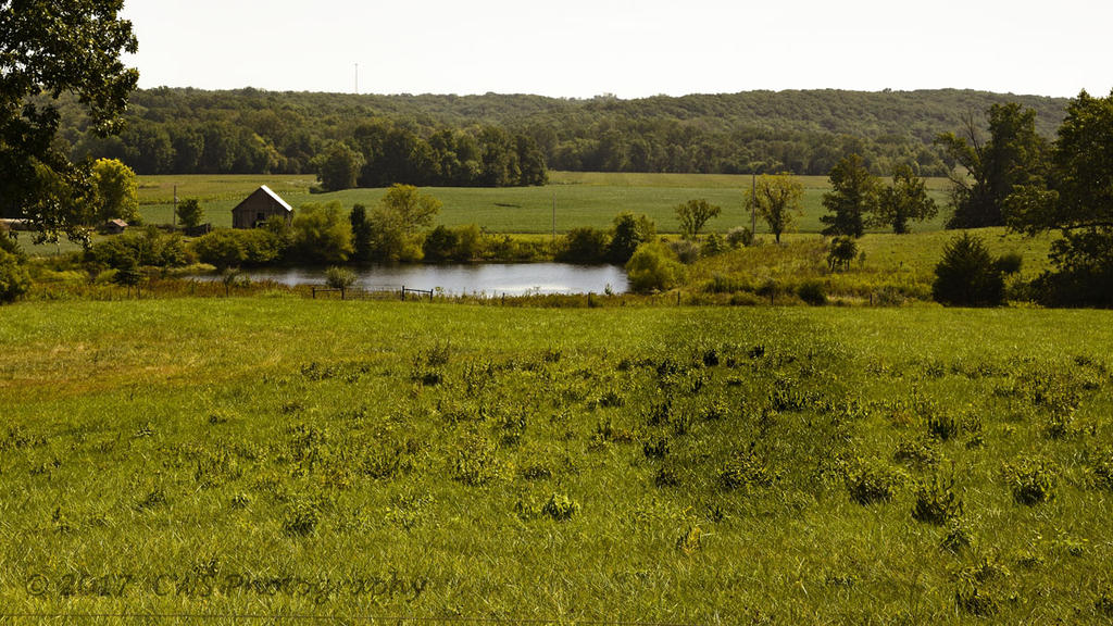 9-5-17-cr__7501891.jpg