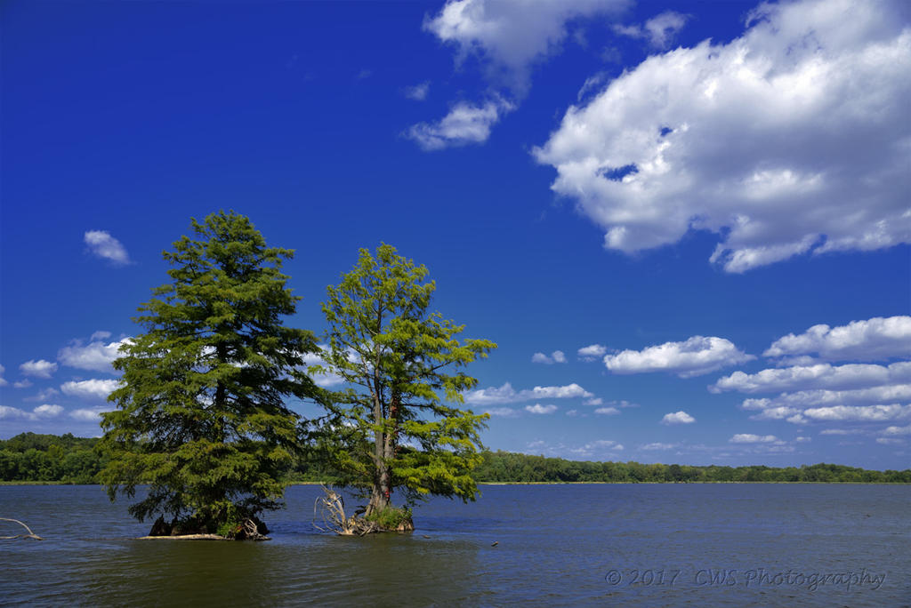 9-5-17-cr__7501894.jpg