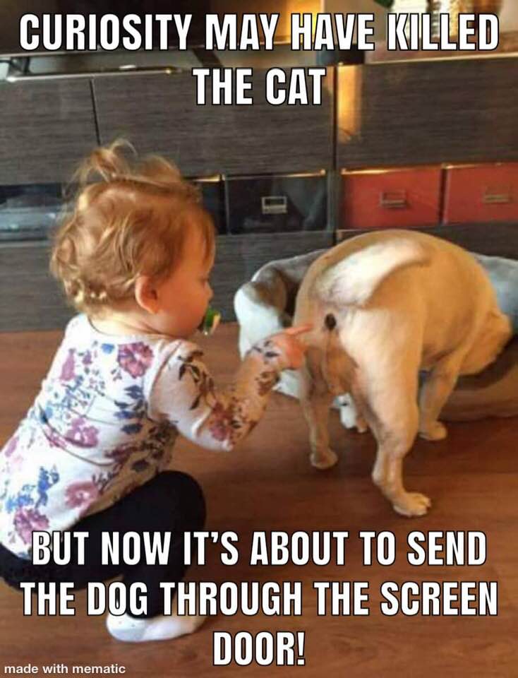 91982138_3143988552292430_196578286610939904_n.jpg