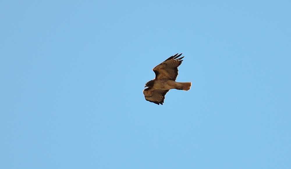 9th & 10th June 2014 024.JPG