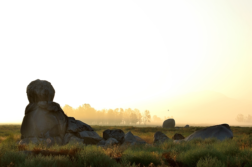 9th Aug 2014 004.JPG