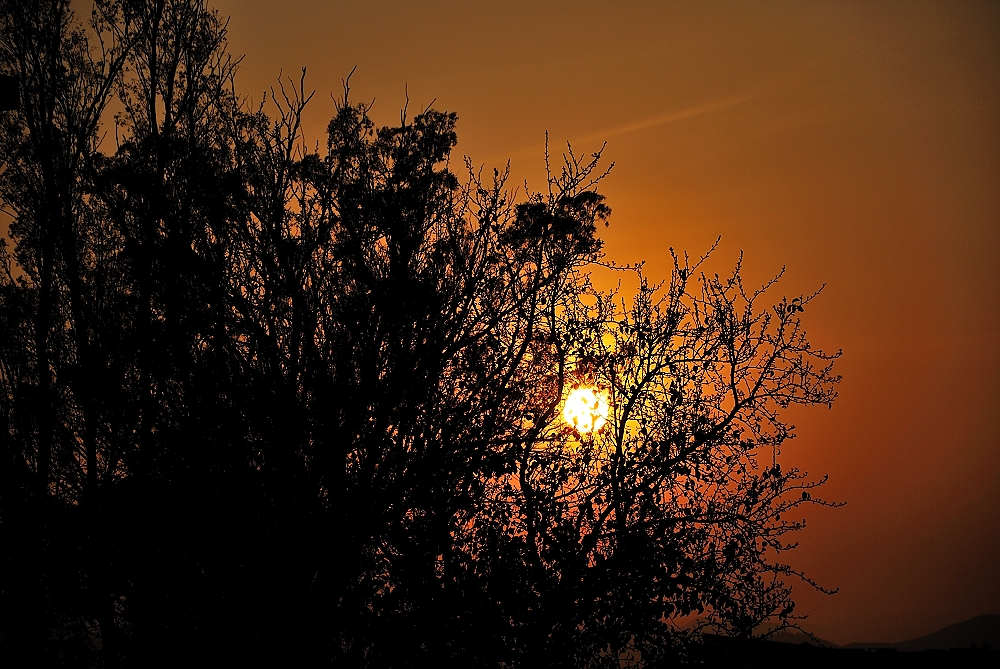 9th Jan 2014 012.JPG