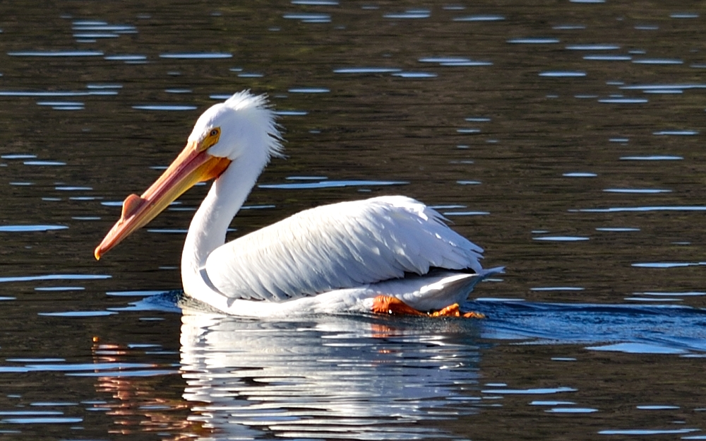 9th Mar 2014 077.JPG