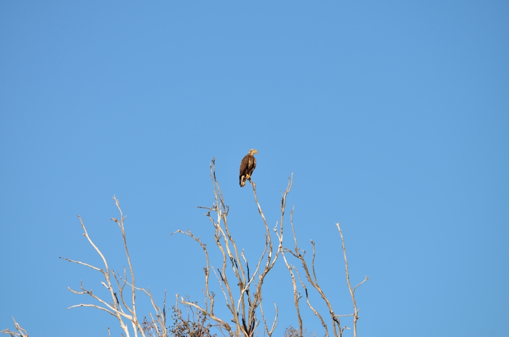 9th Mar 2014 084.JPG