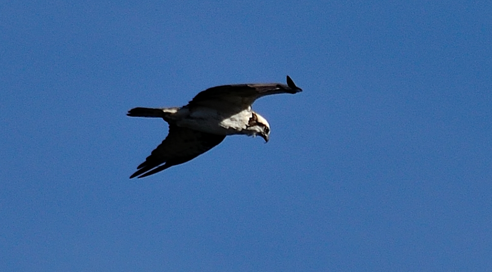 9th Mar 2014 107.JPG