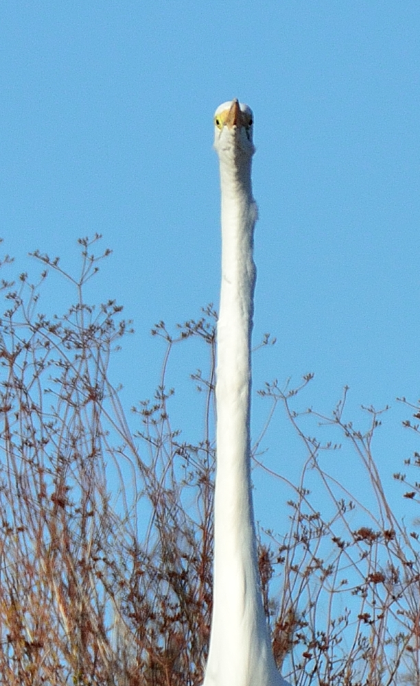 9th Oct 2014 002.JPG