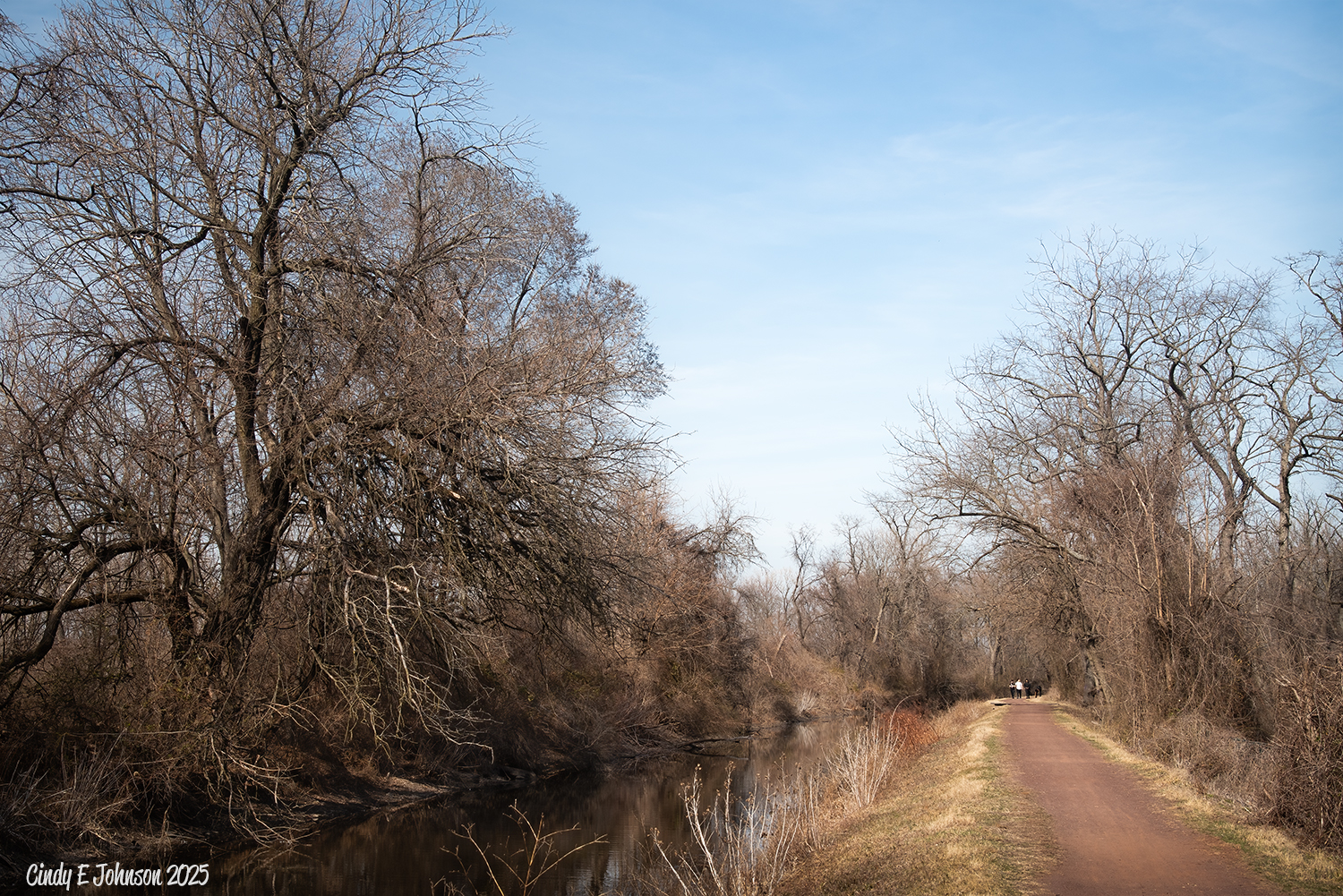 _2010310 low res.jpg