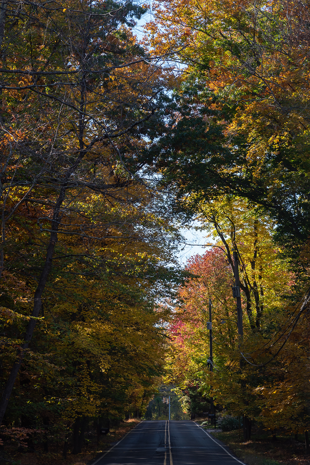 _2012112 low res.jpg