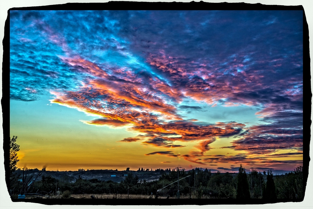 _6001651-Edit.jpg