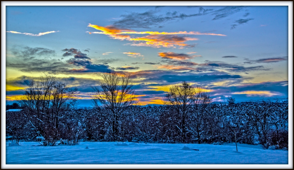 _6003997-Edit-Edit.jpg