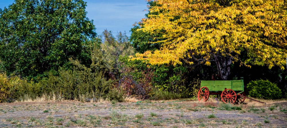 _6009352 (1000x448).jpg