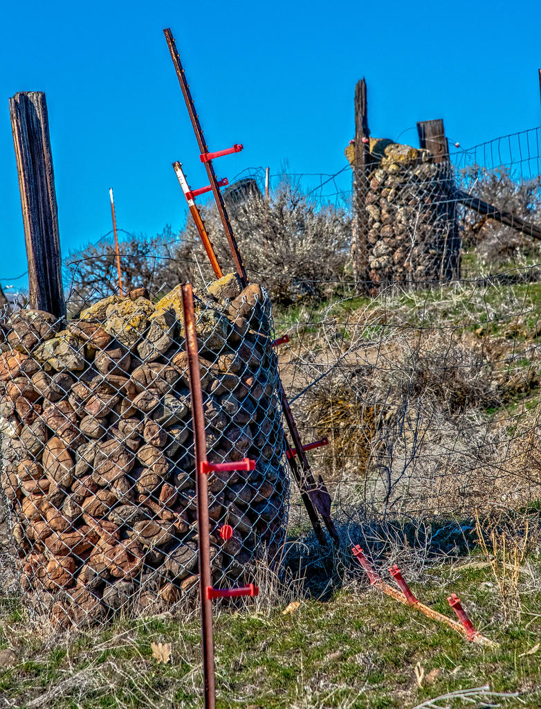 _7500015-HDR-Edit.jpg