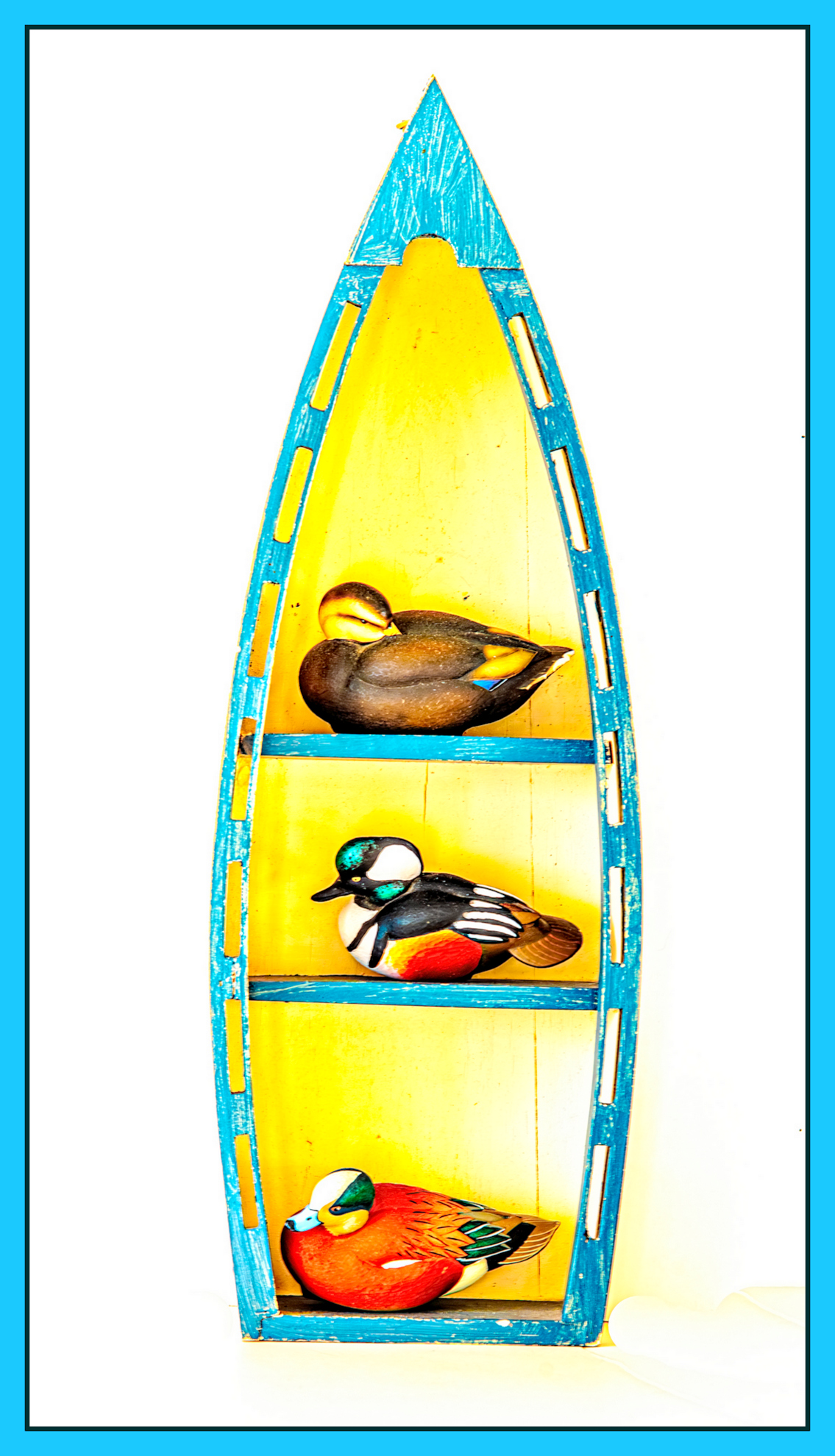 _7500559-enhanced-nr-edit-jpg.404387