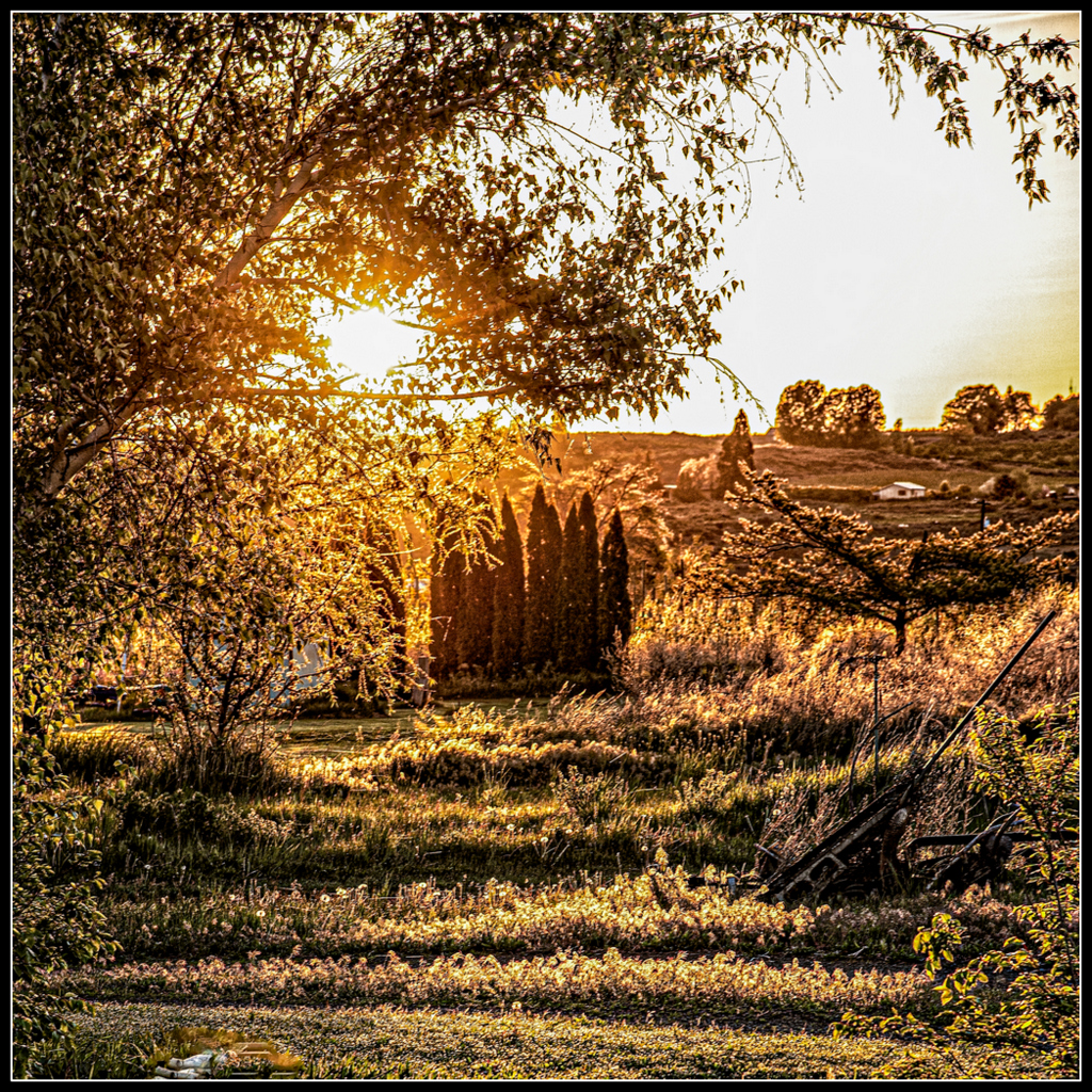 _7500621-Edit-001.jpg