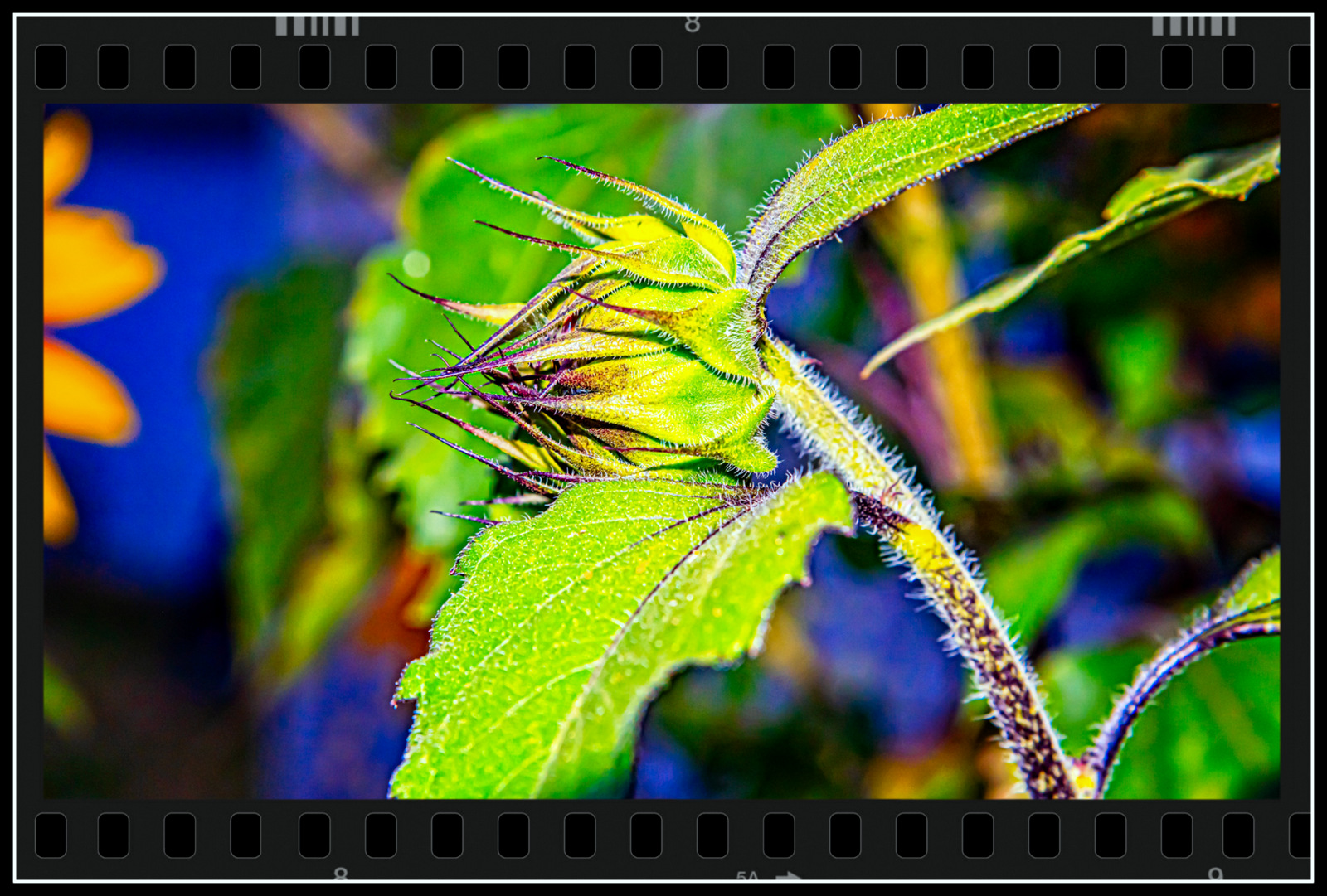 _7500878-Edit.jpg