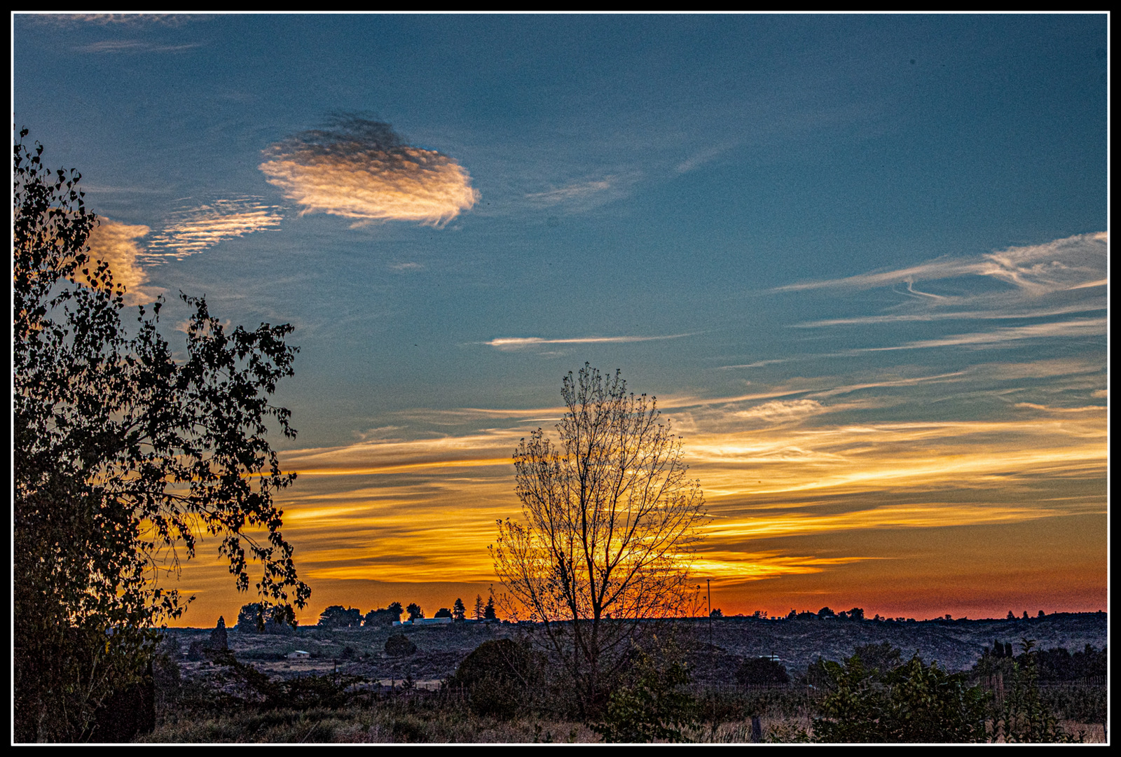 _7500974-Edit.jpg