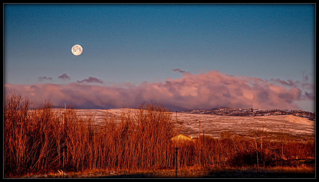 _7501024-Edit-2.jpg