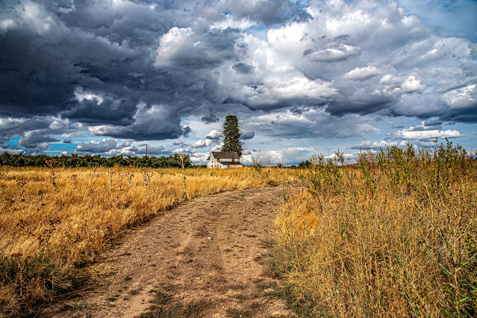 _7501145-Edit.jpg