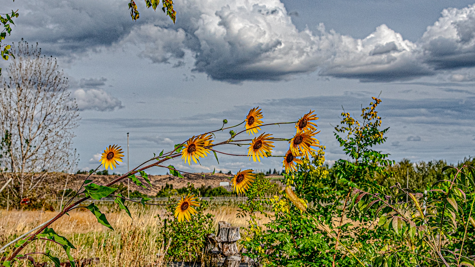 _7501179-Edit.jpg