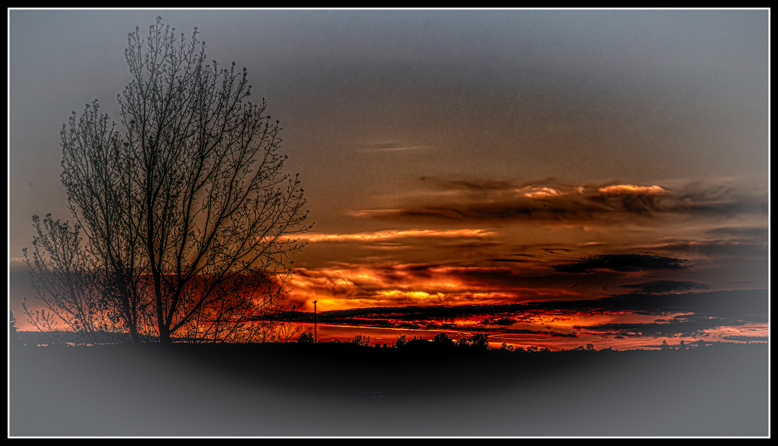 _7501224-Enhanced-NR-Edit-Edit.jpg
